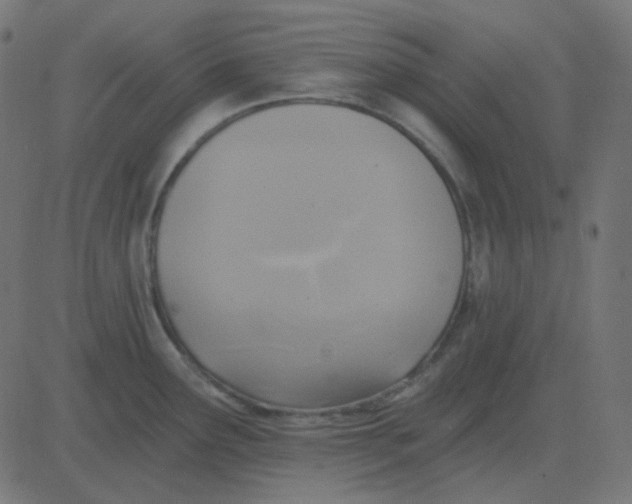 X0000081281291200702012209