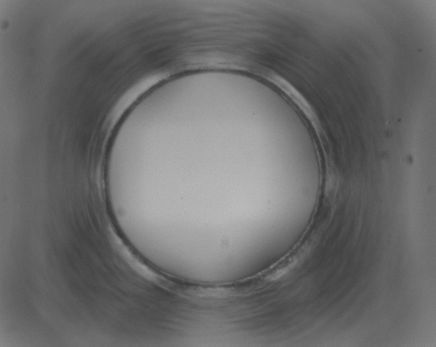 X0000081281293200702012209