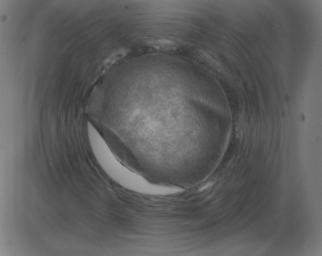 X0000081281298200702012208