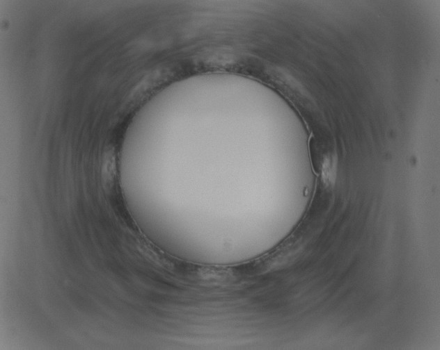 X0000081281299200702012208