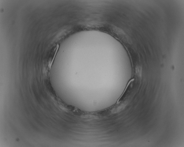 X0000081281300200702012208