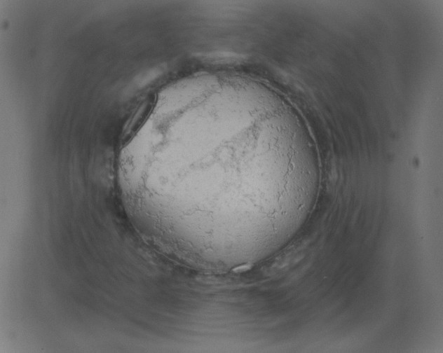 X0000081281301200702012208