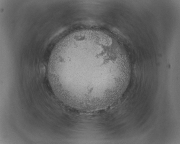 X0000081281302200702012208