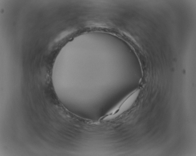 X0000081281303200702012208