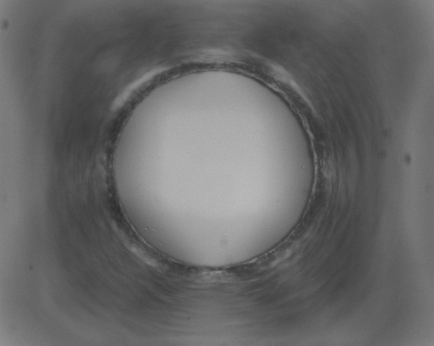 X0000081281304200702012208