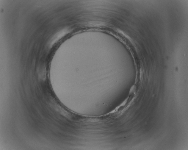 X0000081281306200702012208