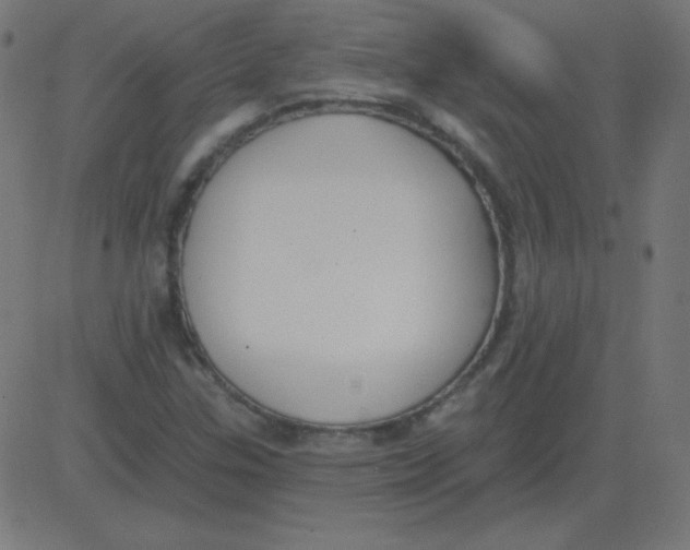 X0000081281307200702012208