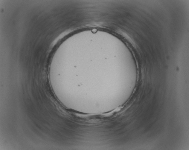 X0000081281308200702012208