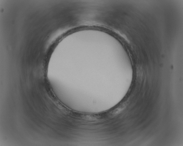 X0000081281311200702012208