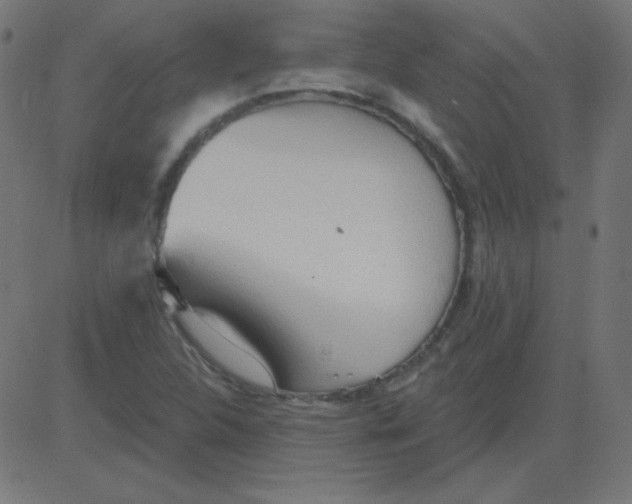 X0000081281312200702012209