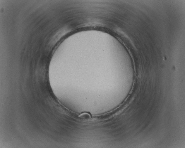 X0000081281313200702012209