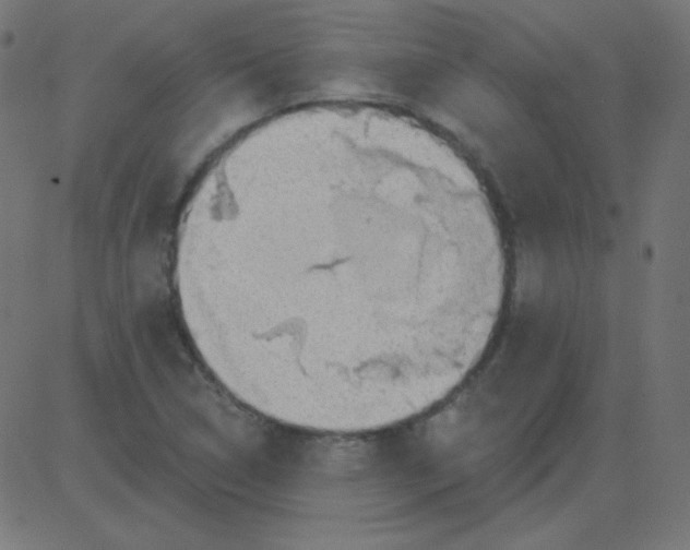 X0000081281314200702012209