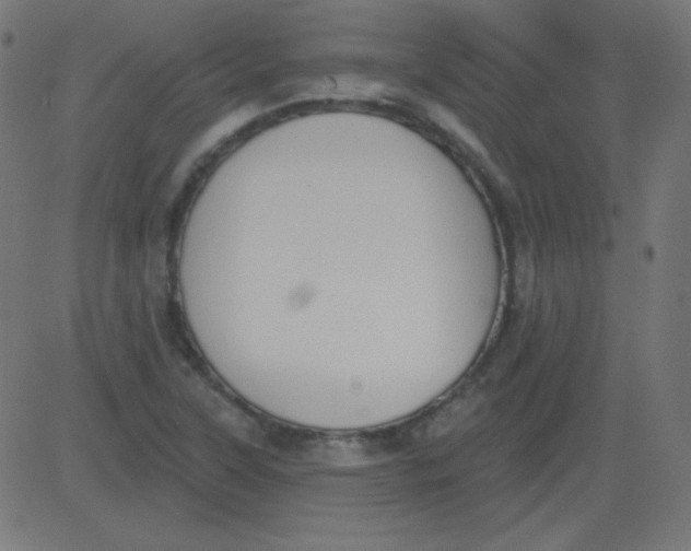 X0000081281315200702012209