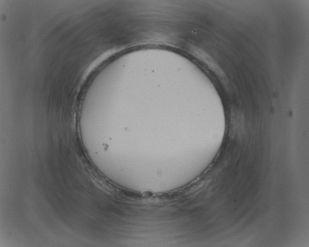 X0000081281316200702012209