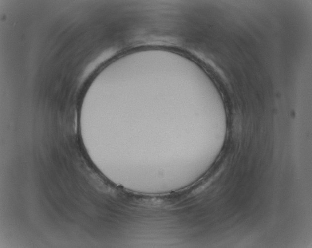 X0000081281317200702012209