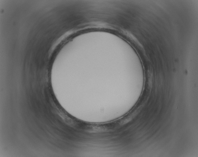 X0000081281318200702012209