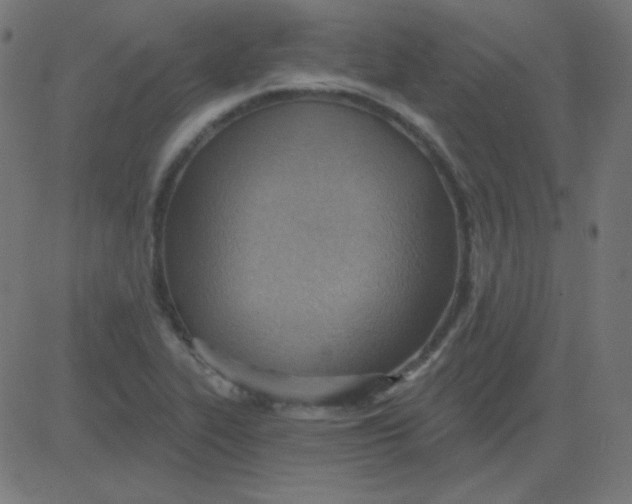 X0000081281319200702012209