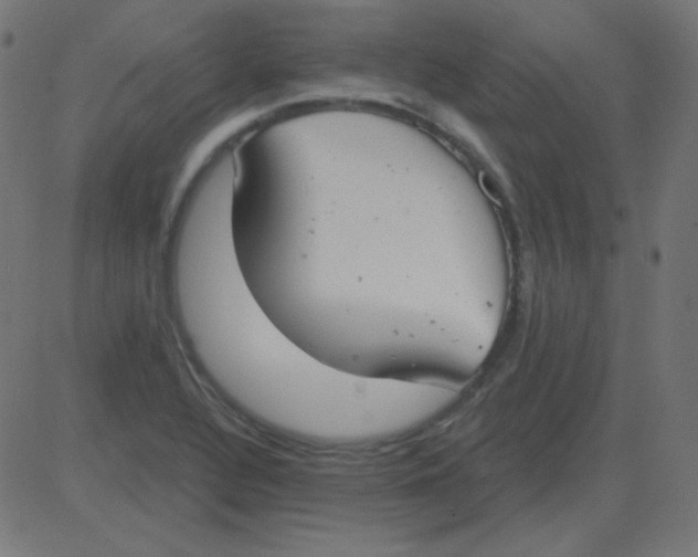 X0000081281320200702012209