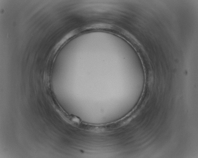 X0000081281321200702012209