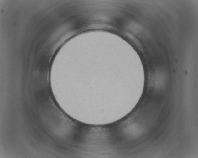 X0000081281322200702012209