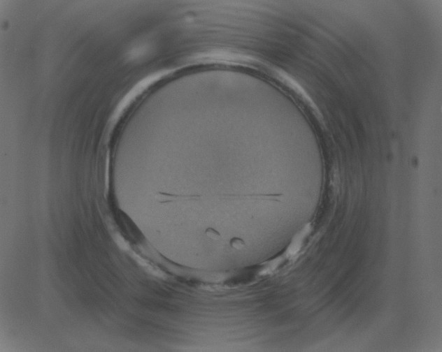 X0000081281323200702012209