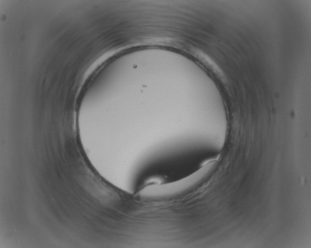 X0000081281324200702012209