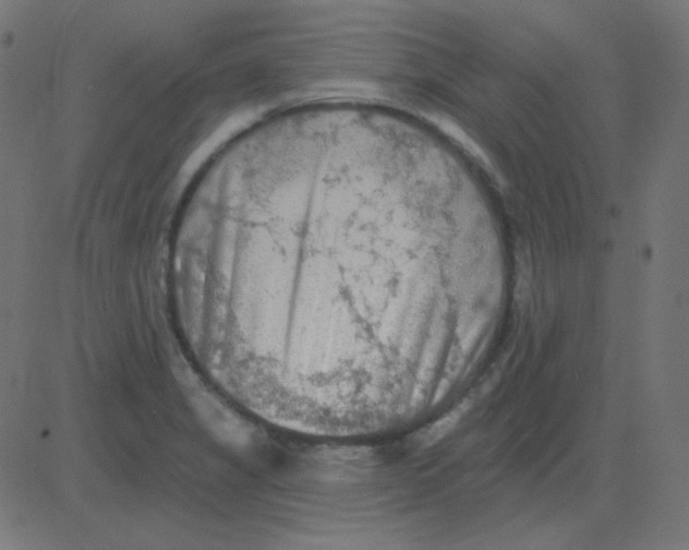 X0000081281325200702012209