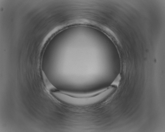 X0000081281326200702012209