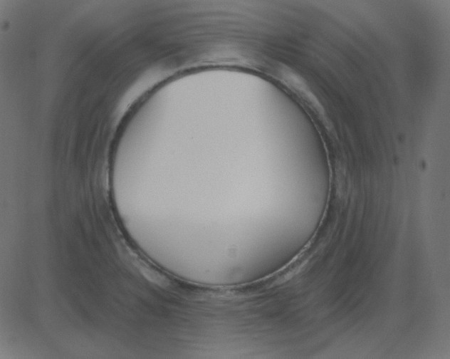 X0000081281328200702012209