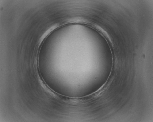 X0000081281330200702012209