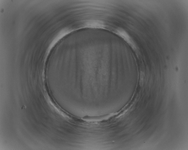 X0000081281331200702012209