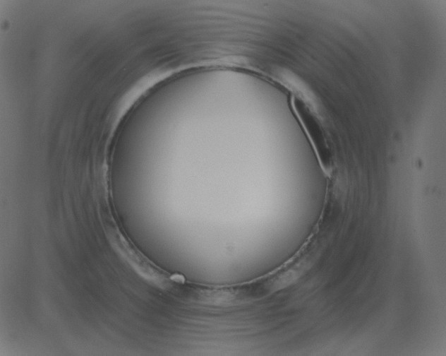 X0000081281332200702012209