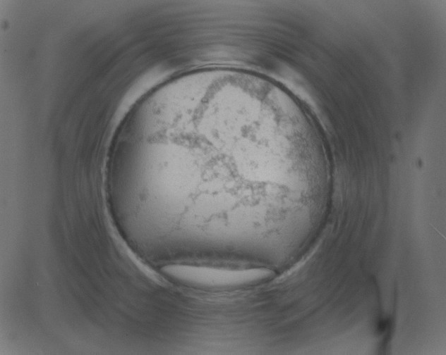 X0000081281333200702012209