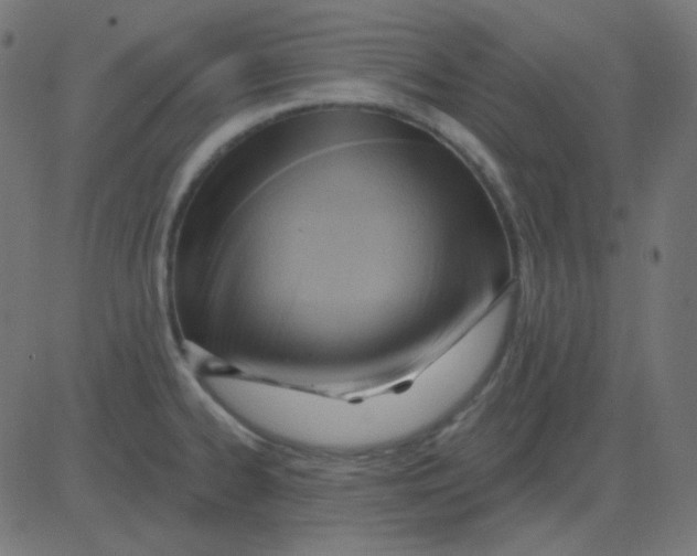 X0000081281334200702012209