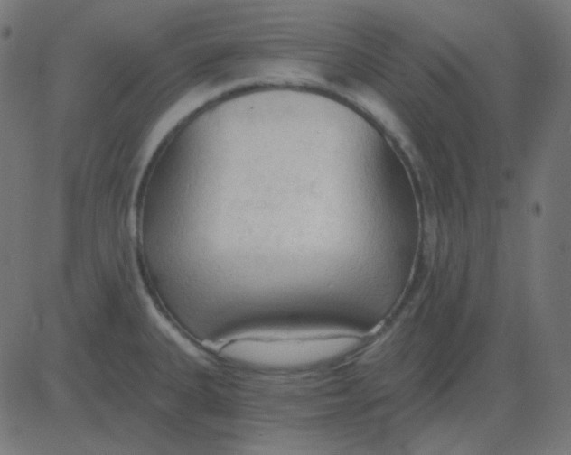 X0000081281335200702012209