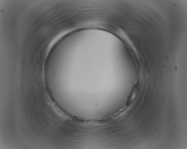 X0000081281336200702012209