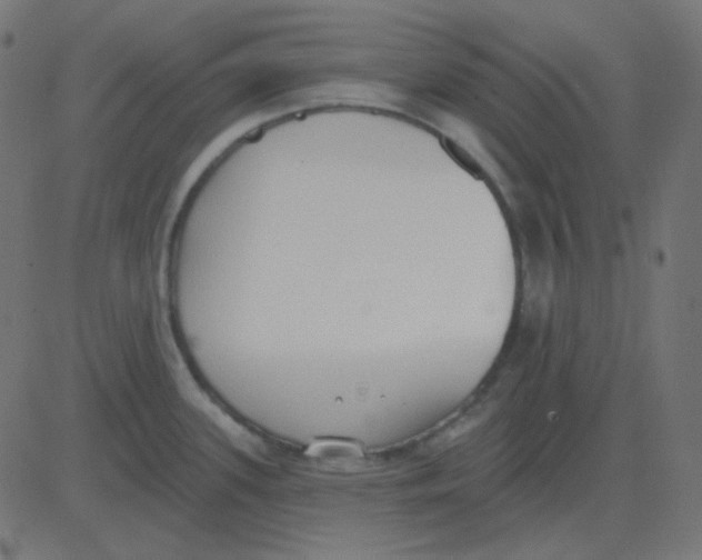 X0000081281339200702012209