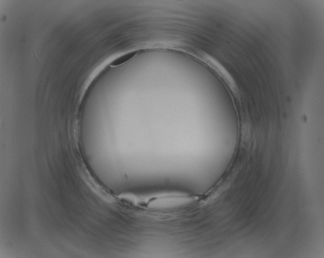 X0000081281340200702012209