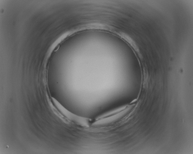 X0000081281342200702012209