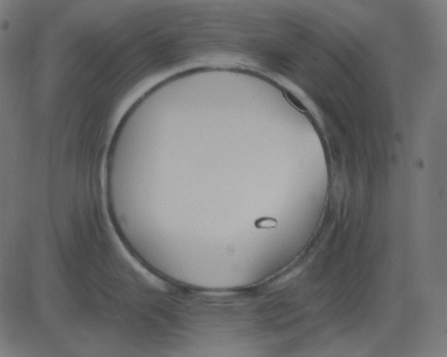 X0000081281343200702012209