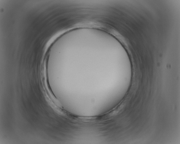 X0000081281344200702012209