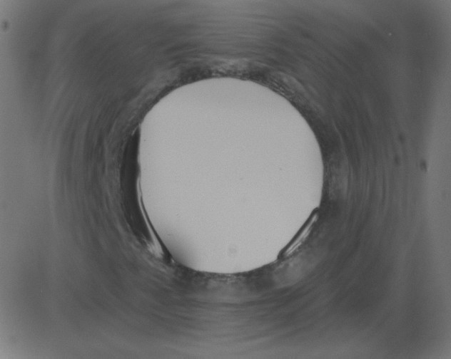 X0000081281345200702012208