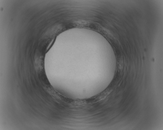 X0000081281346200702012208