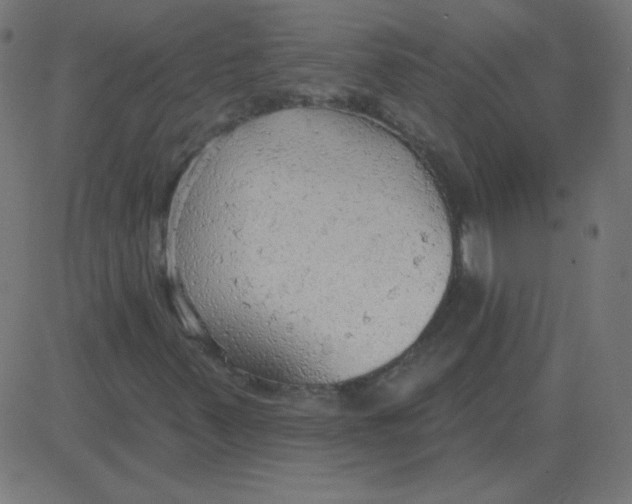 X0000081281347200702012208