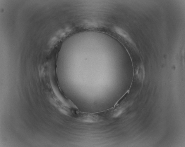 X0000081281348200702012208