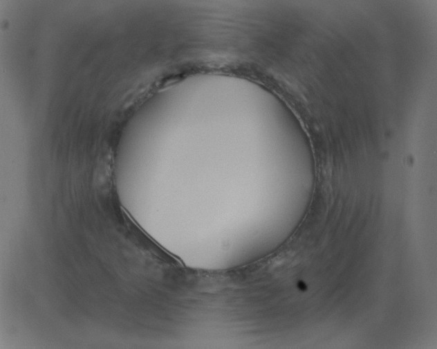 X0000081281349200702012208