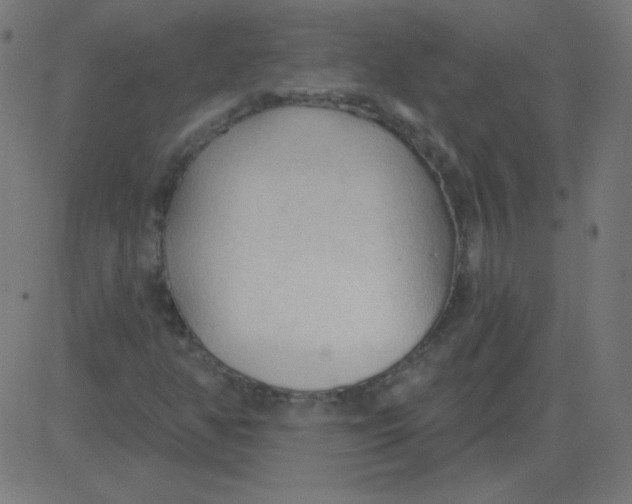 X0000081281350200702012208