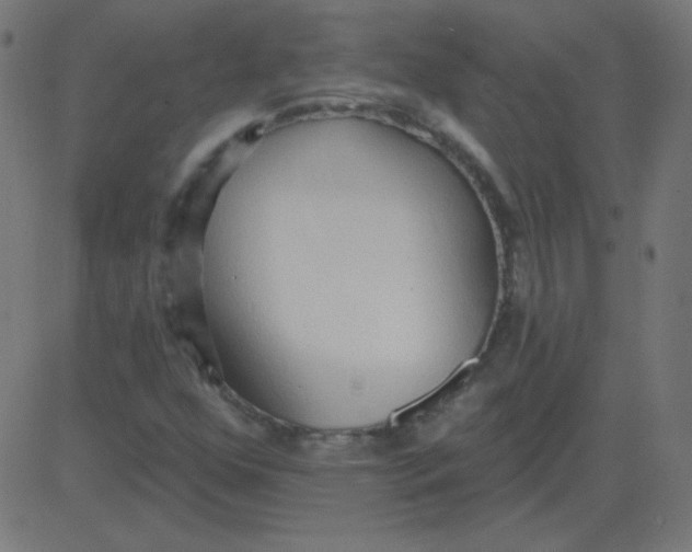 X0000081281352200702012208