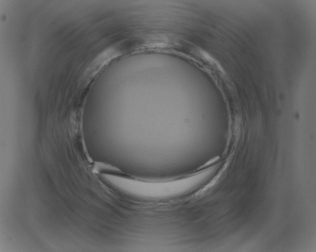 X0000081281353200702012208