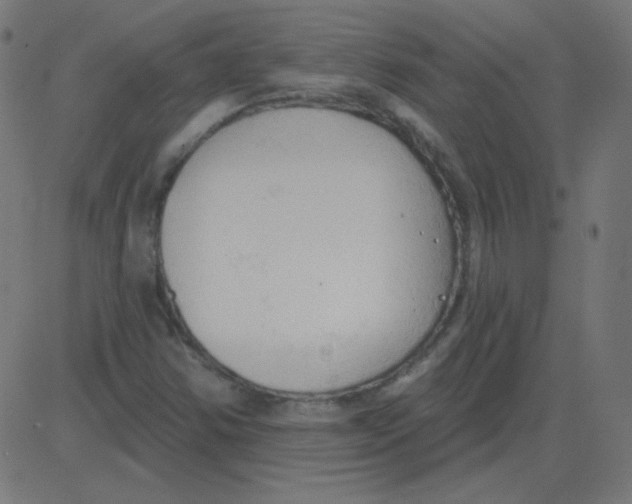 X0000081281354200702012208